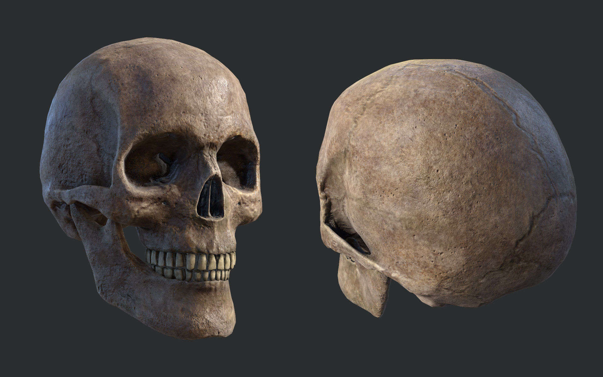 Lowpoly Skull three different skulls Low-poly 3D model_3