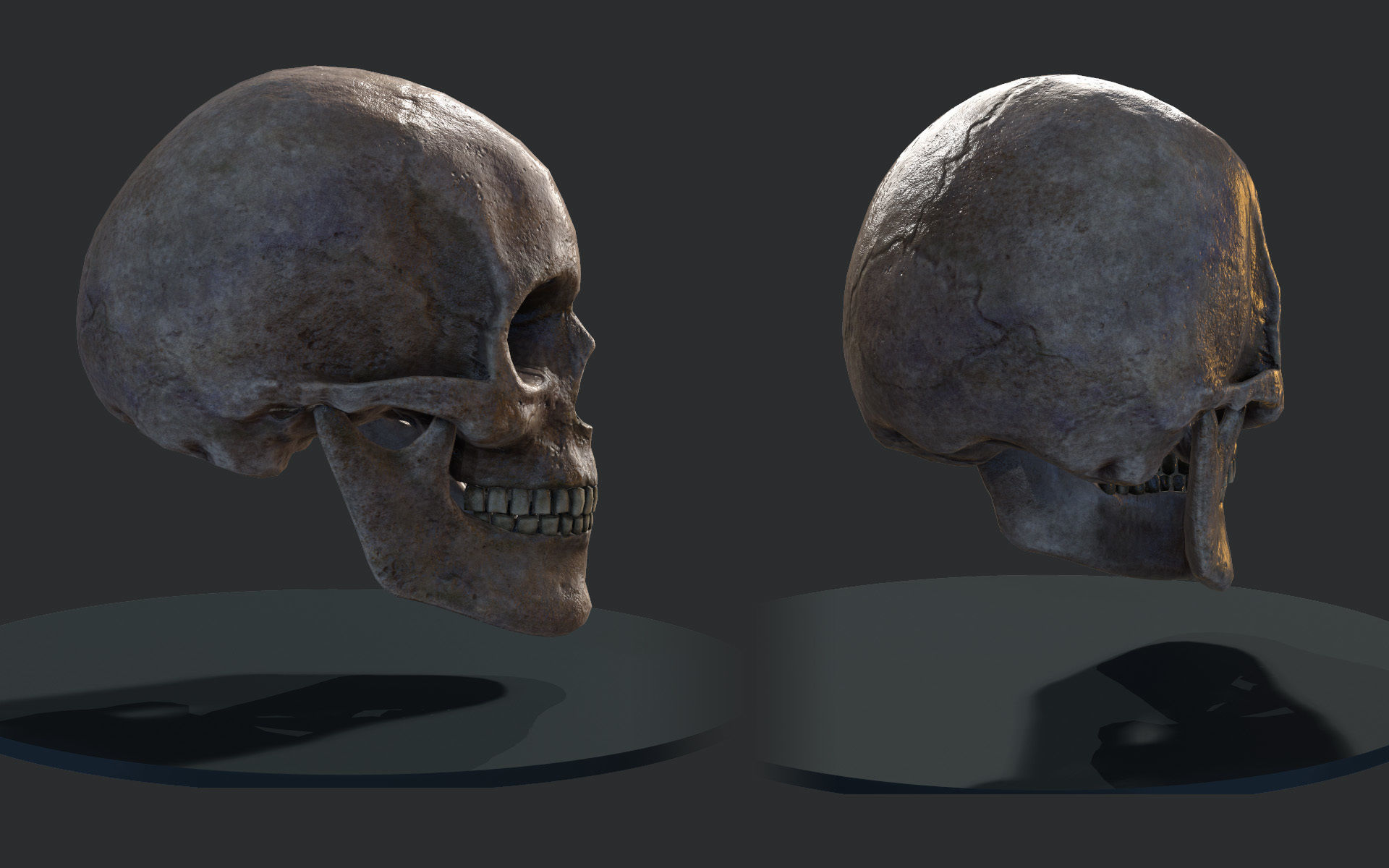 Lowpoly Skull three different skulls Low-poly 3D model_1