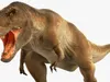 Animated Tyrannosaurus Rex Roaring Rigged for Cinema 4D 3D model ...