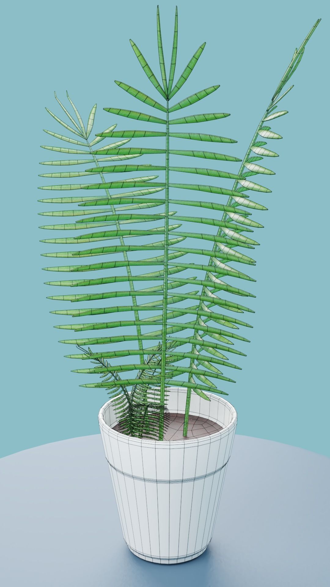 Plants Collection plant in pot Low-poly 3D model_8