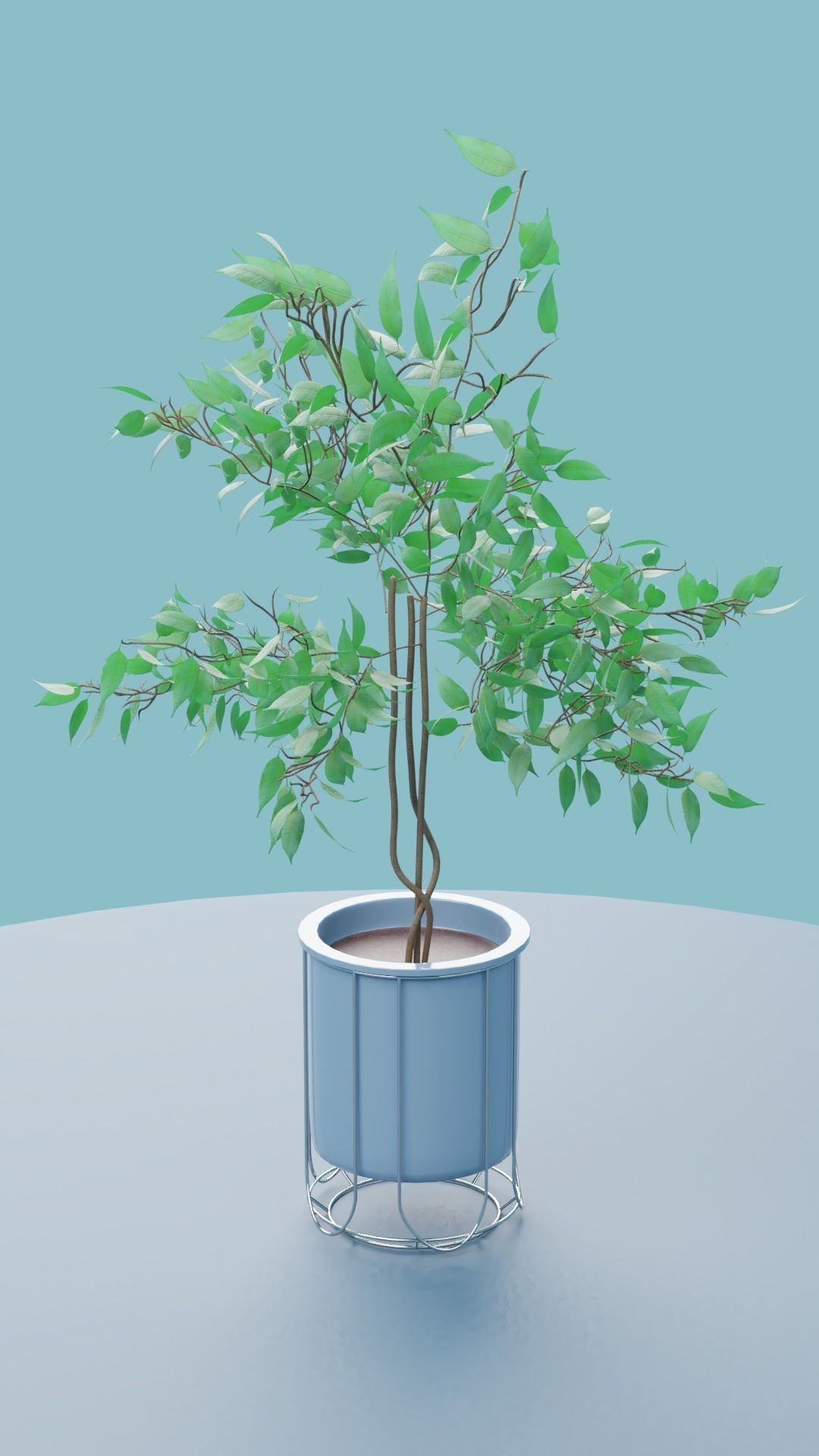 Plants Collection plant in pot Low-poly 3D model_23