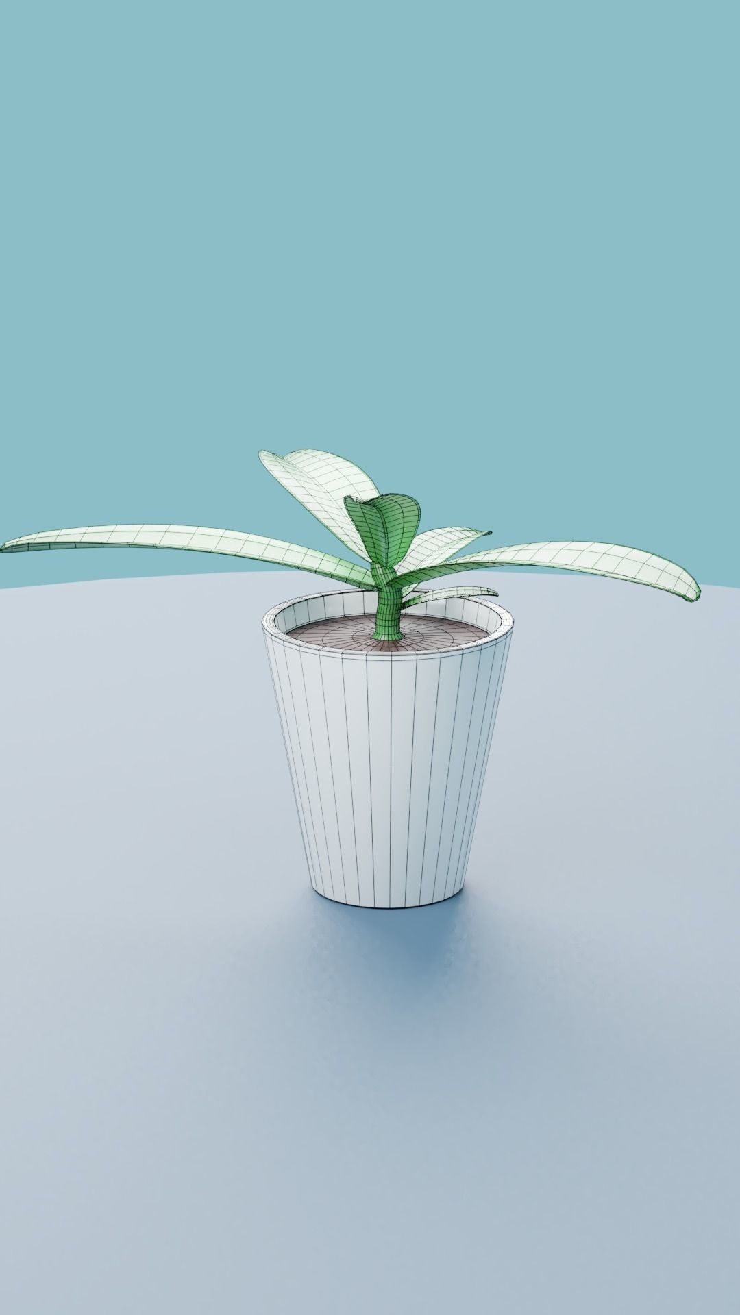 Plants Collection plant in pot Low-poly 3D model_22