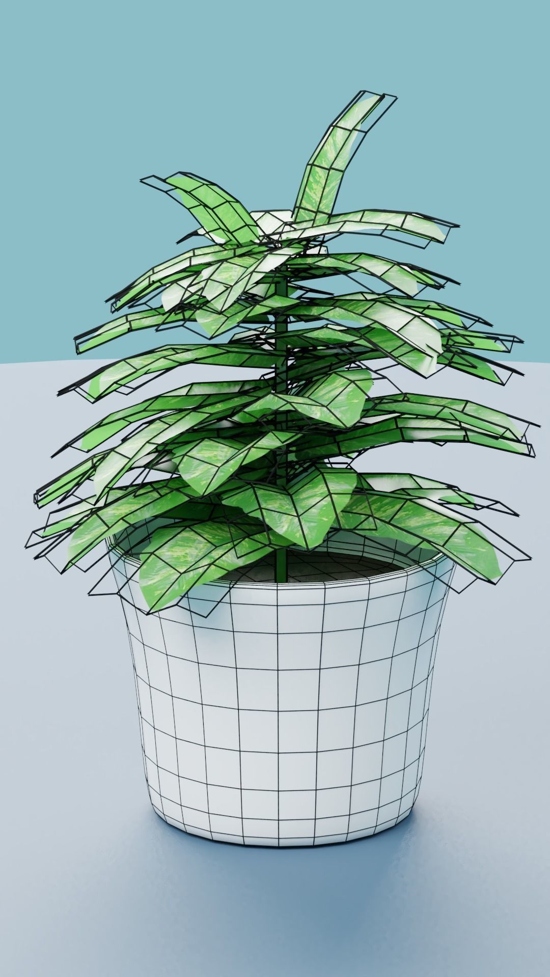 Plants Collection plant in pot Low-poly 3D model_10
