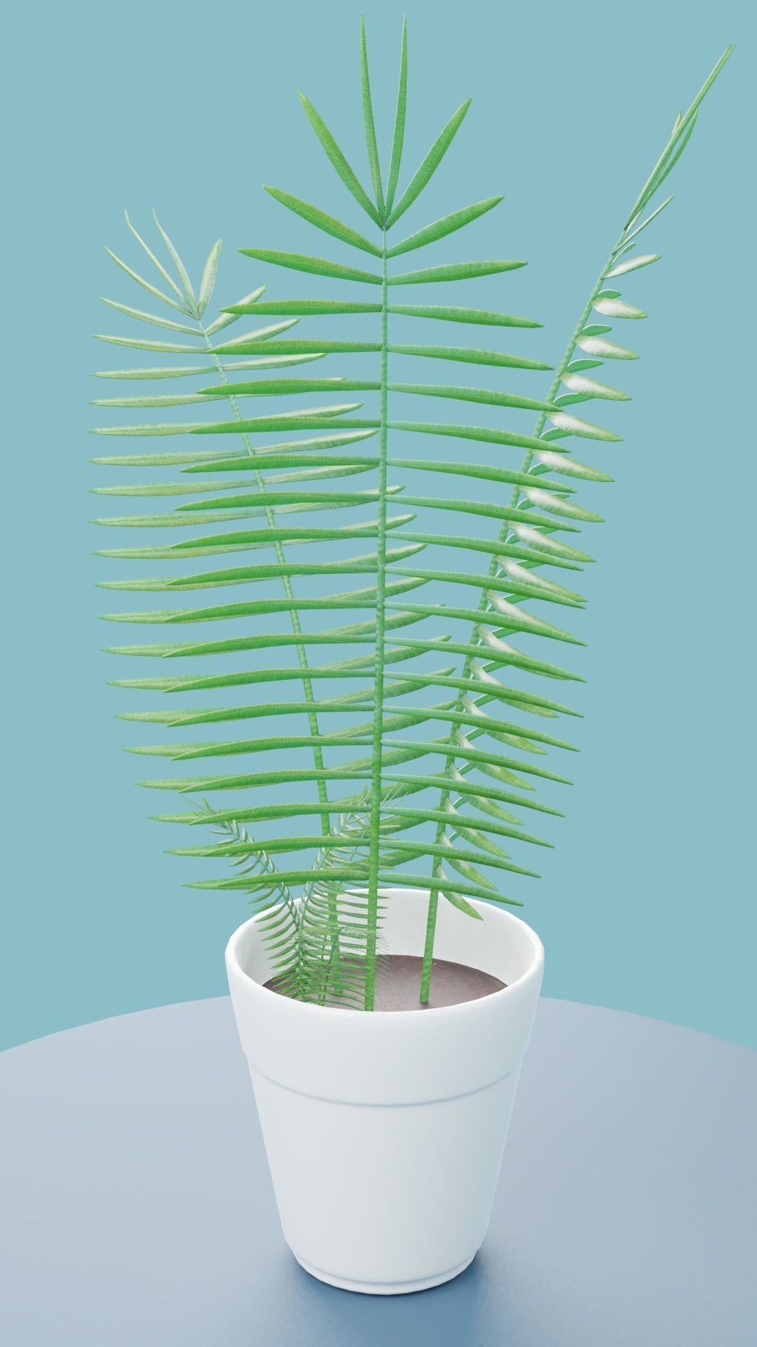 Plants Collection plant in pot Low-poly 3D model_7
