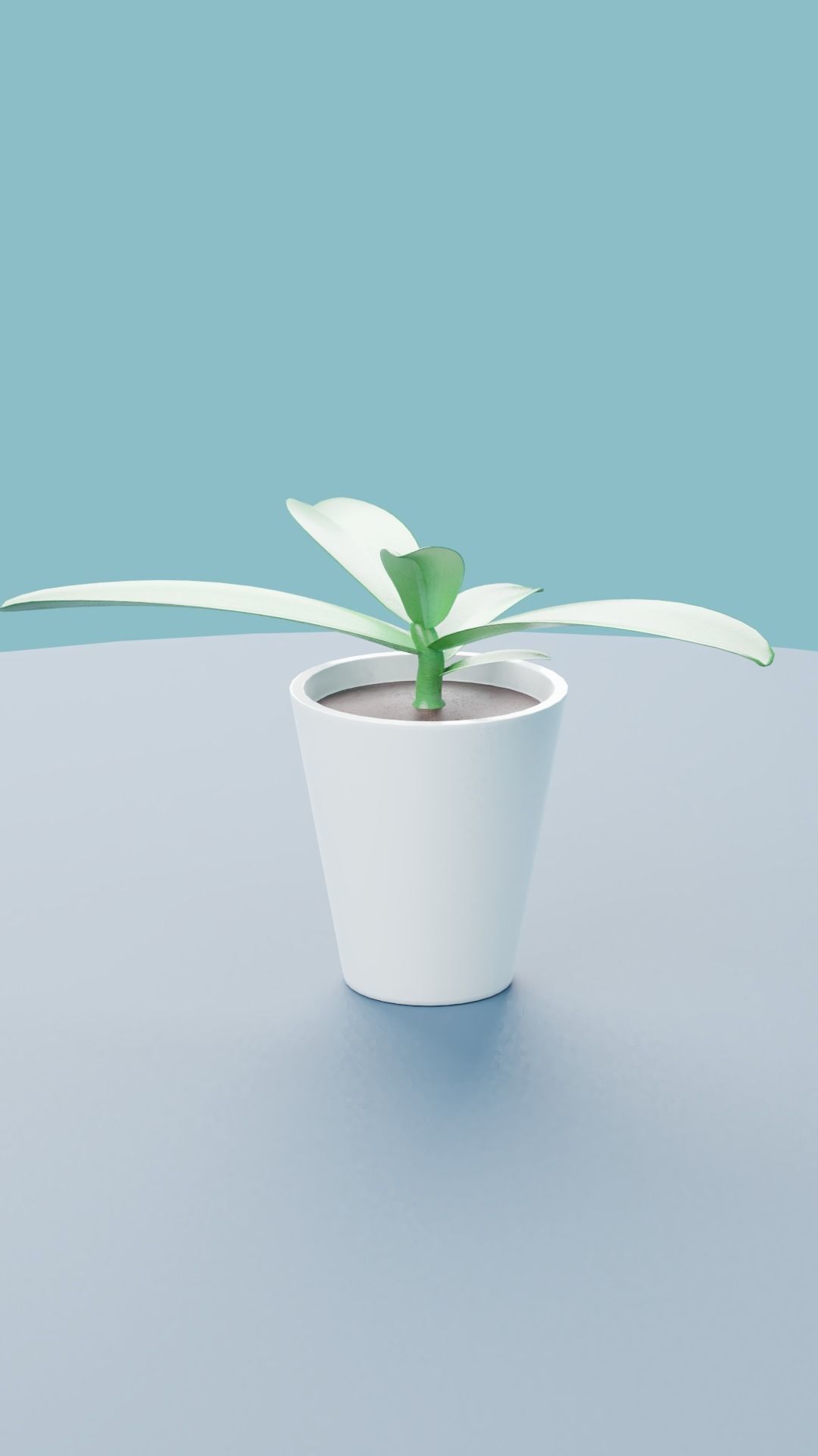 Plants Collection plant in pot Low-poly 3D model_21