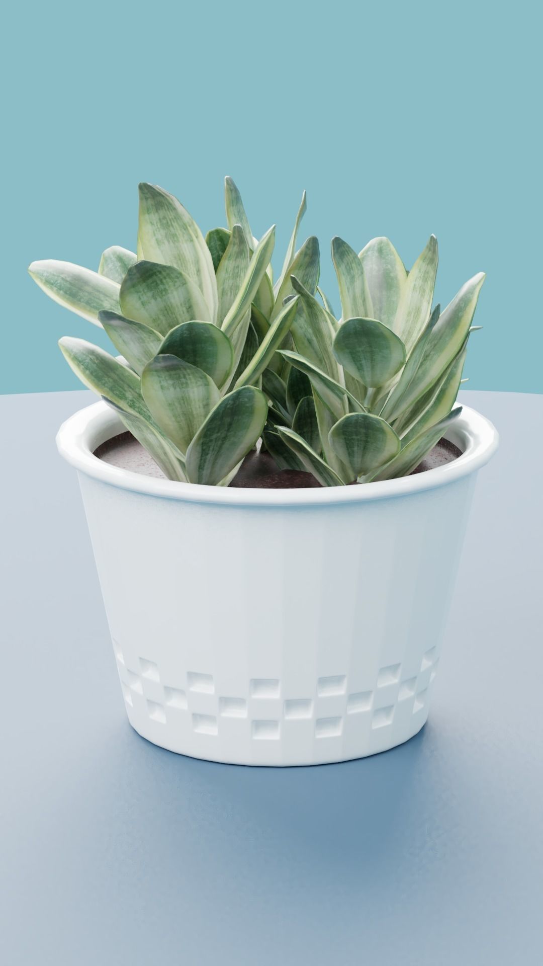 Plants Collection plant in pot Low-poly 3D model_13