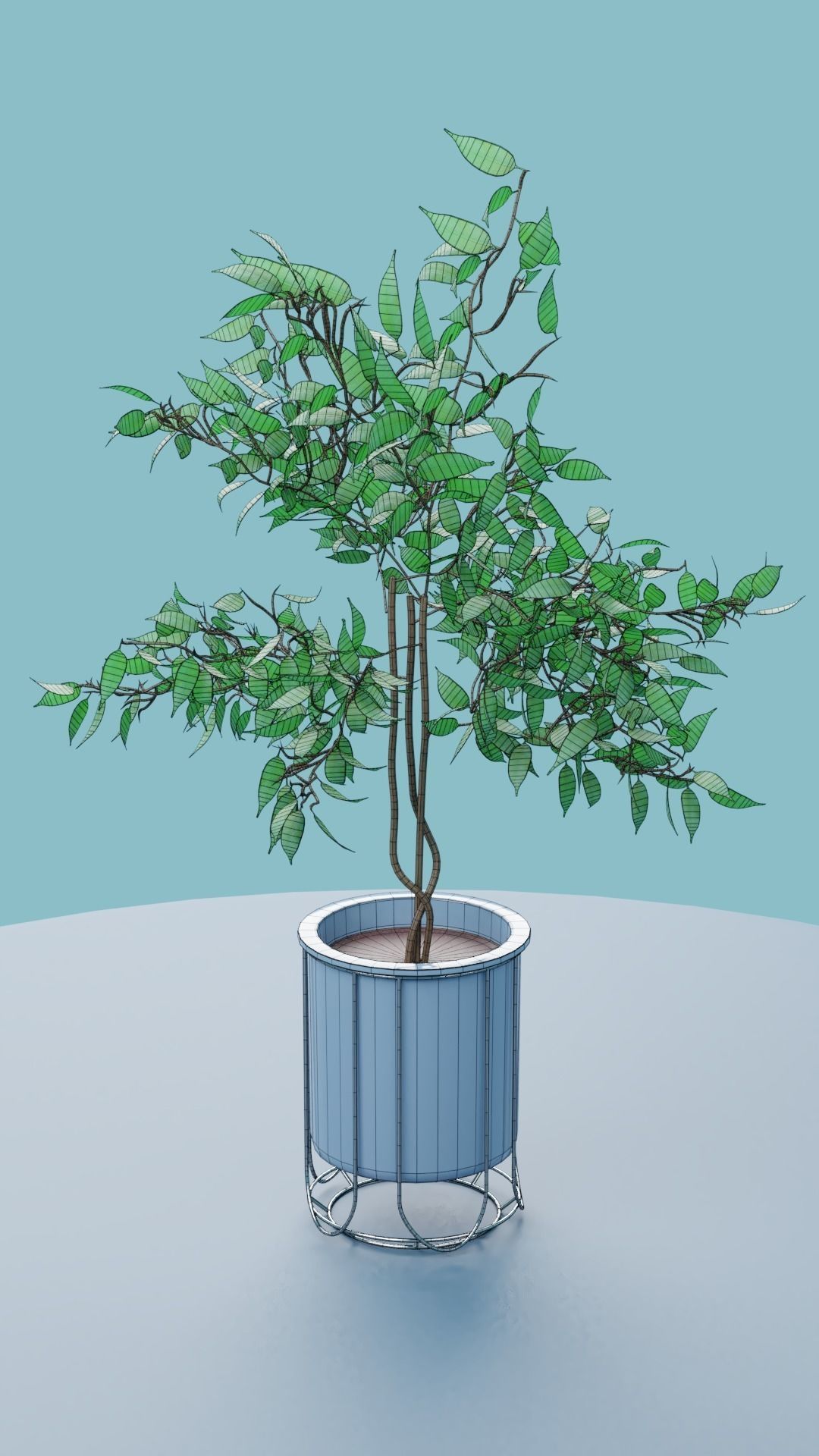 Plants Collection plant in pot Low-poly 3D model_24