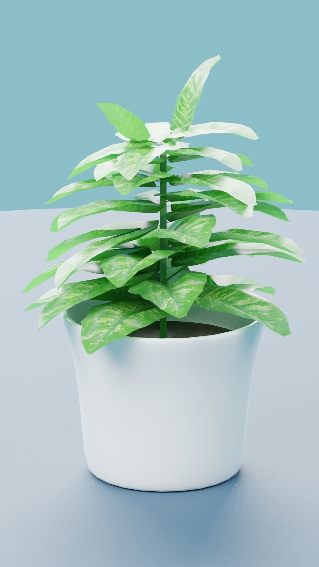 Plants Collection plant in pot Low-poly 3D model_9