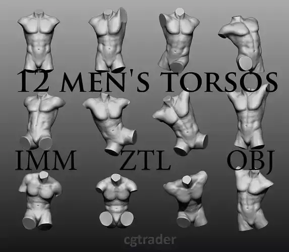 12 mens torsos