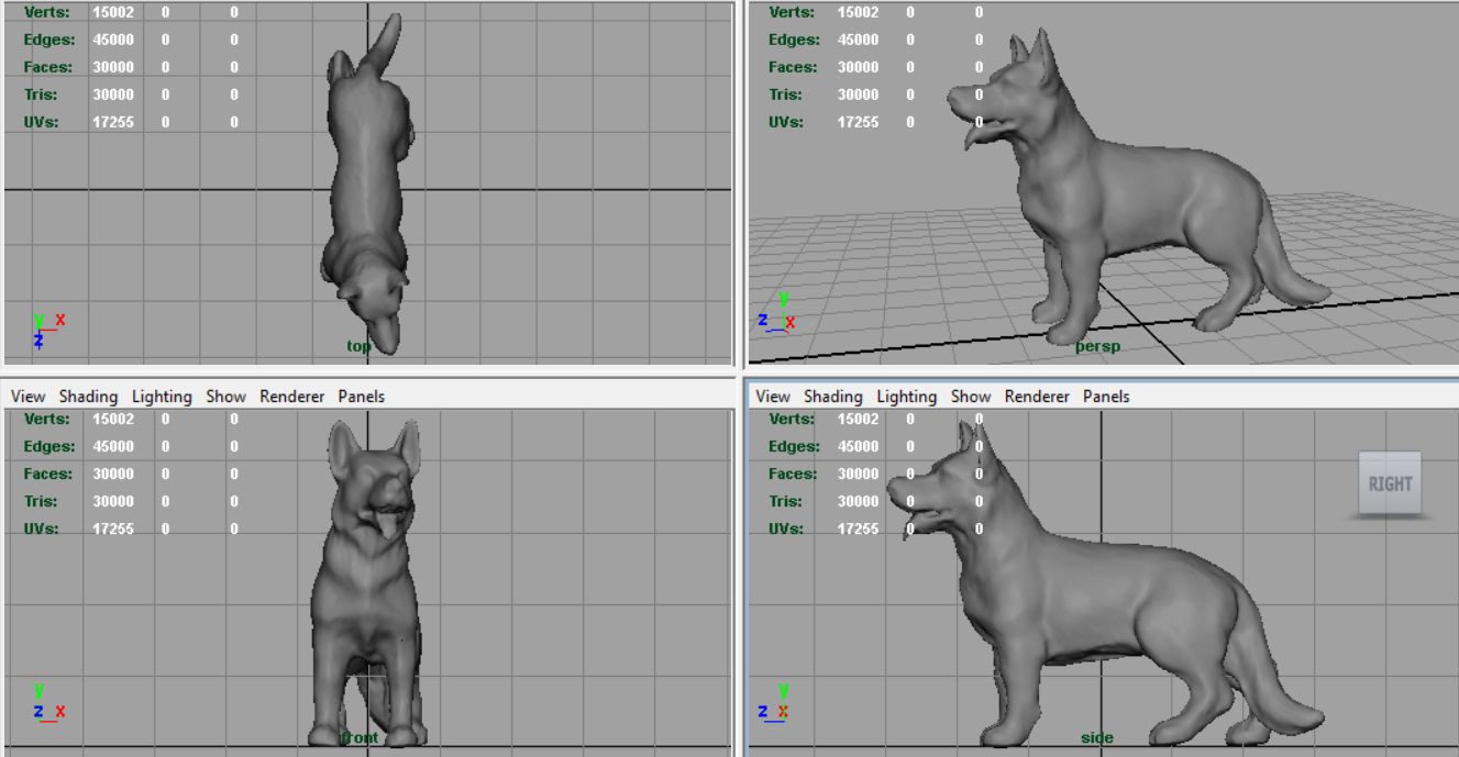 German shepherd Low-poly 3D model_8