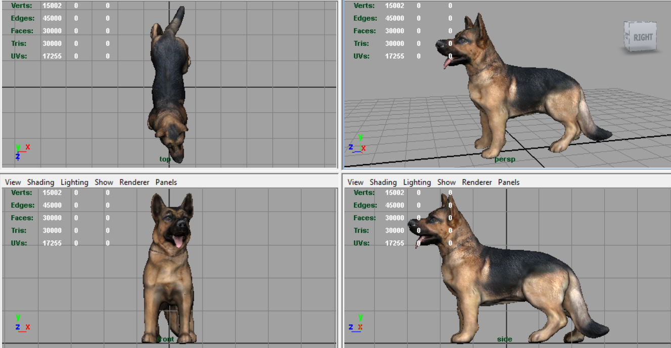 German shepherd Low-poly 3D model_9