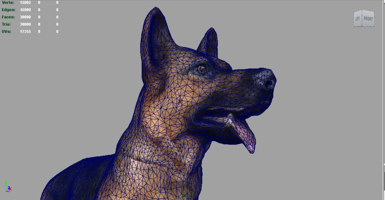 German shepherd Low-poly 3D model_15