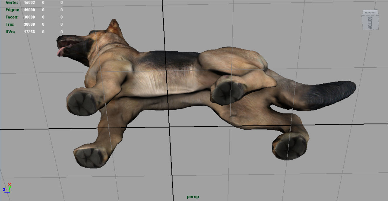 German shepherd Low-poly 3D model_14