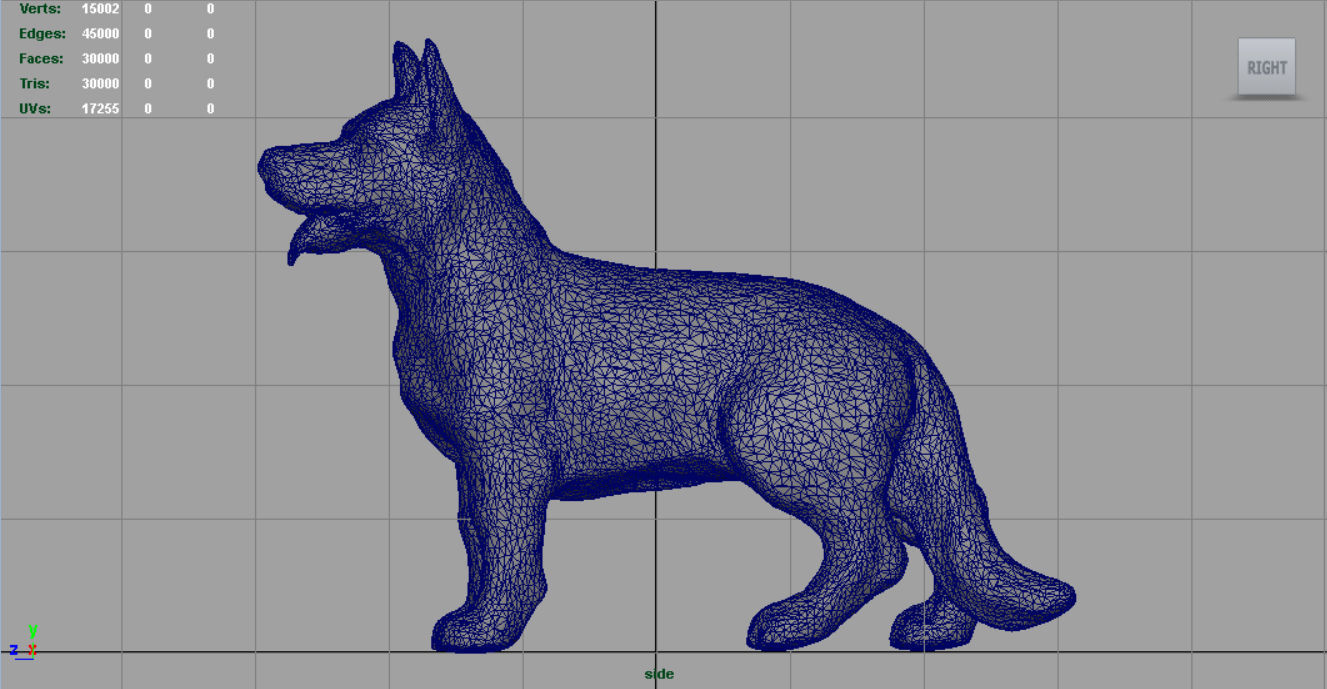 German shepherd Low-poly 3D model_12