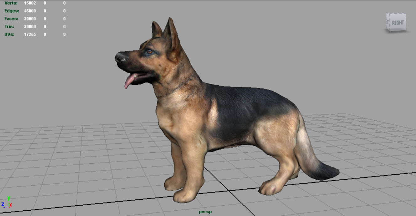 German shepherd Low-poly 3D model_3