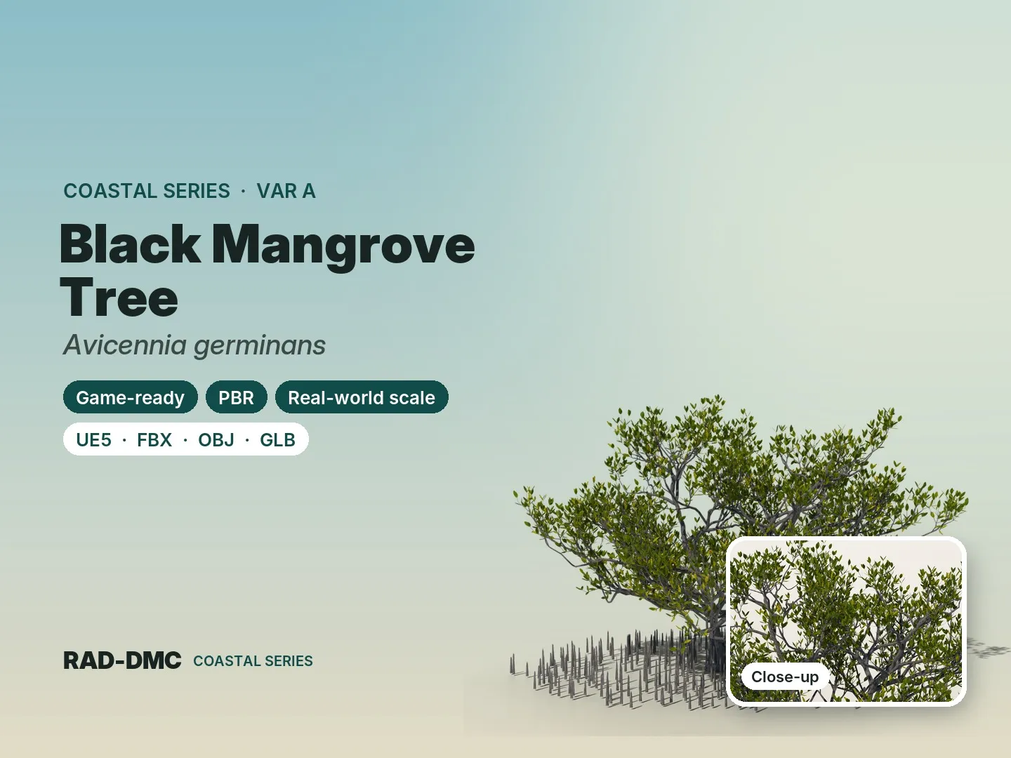 3D model Black Mangrove Tree A - Avicennia germinans - Game Ready PBR ...