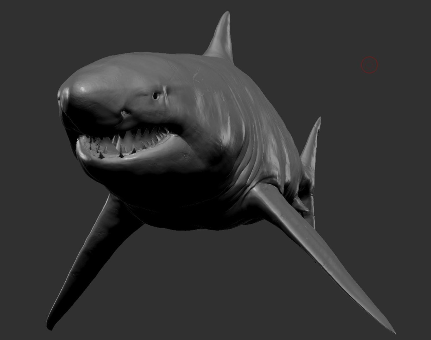 Great white Shark 3D model_3