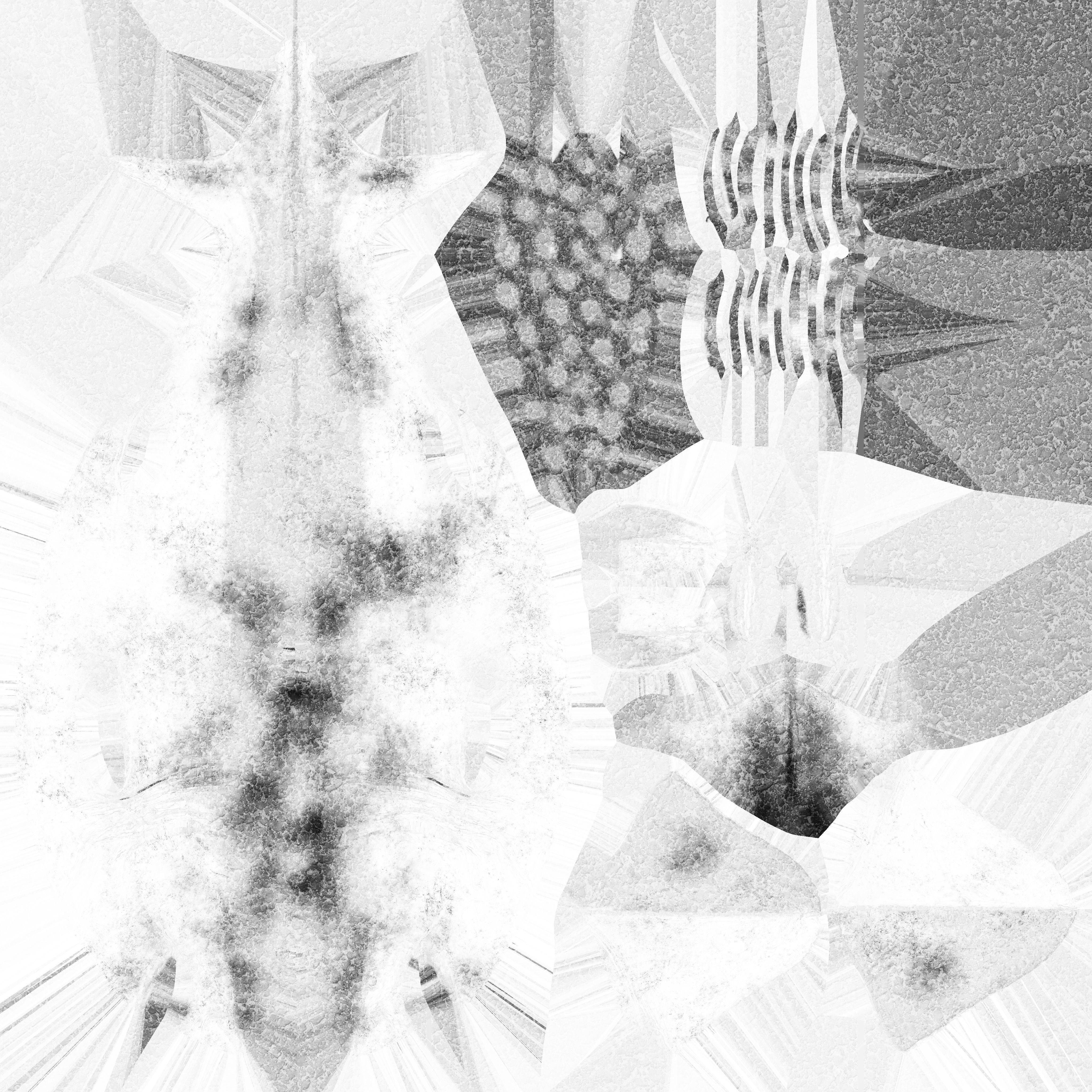 Great white Shark 3D model_8