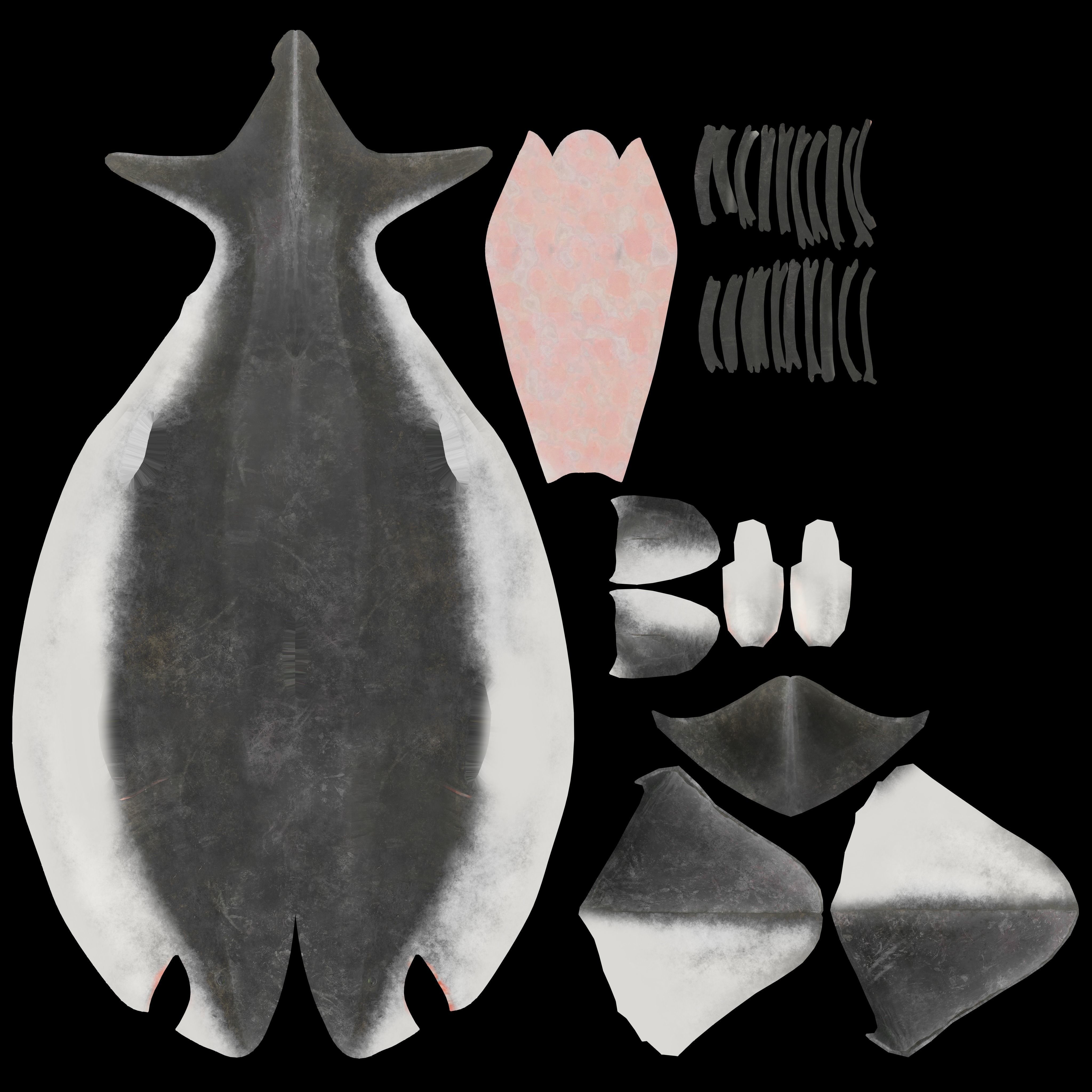 Great white Shark 3D model_9