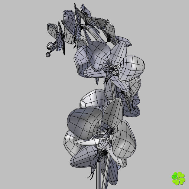 Orchid plant low poly Low-poly 3D model_17