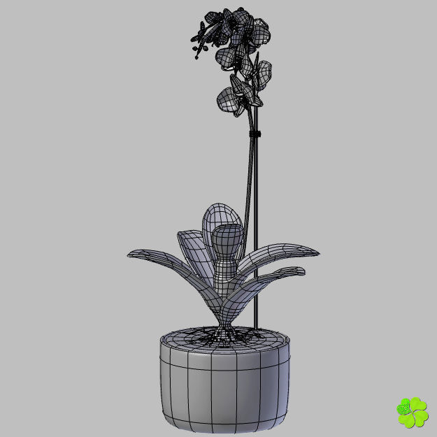 Orchid plant low poly Low-poly 3D model_15