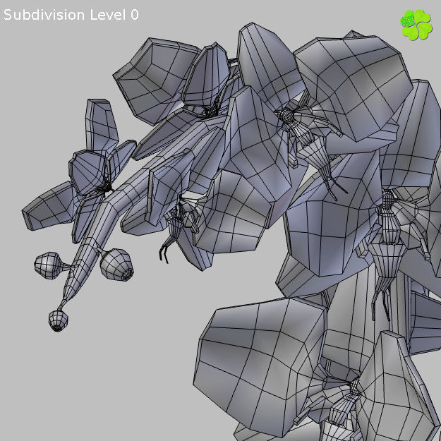 Orchid plant low poly Low-poly 3D model_22