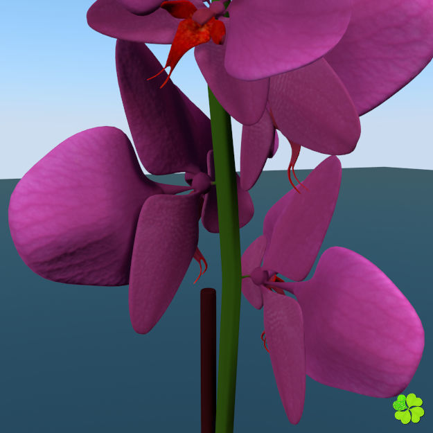Orchid plant low poly Low-poly 3D model_13