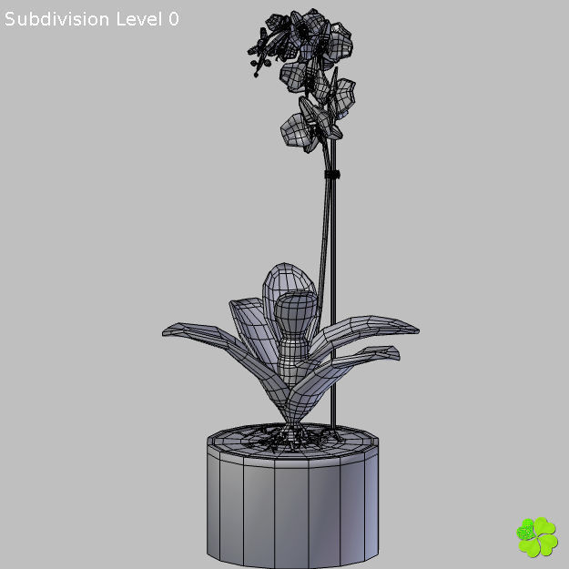 Orchid plant low poly Low-poly 3D model_16