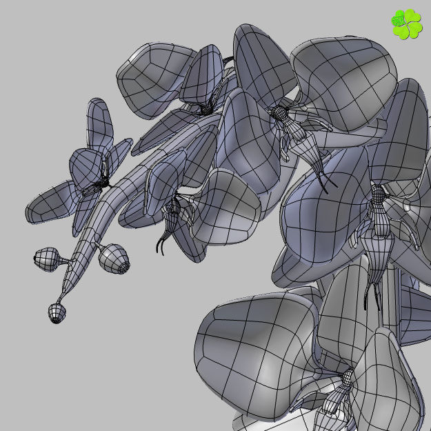 Orchid plant low poly Low-poly 3D model_21
