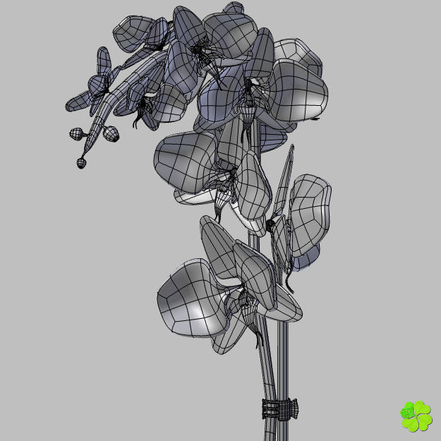 Orchid plant low poly Low-poly 3D model_31