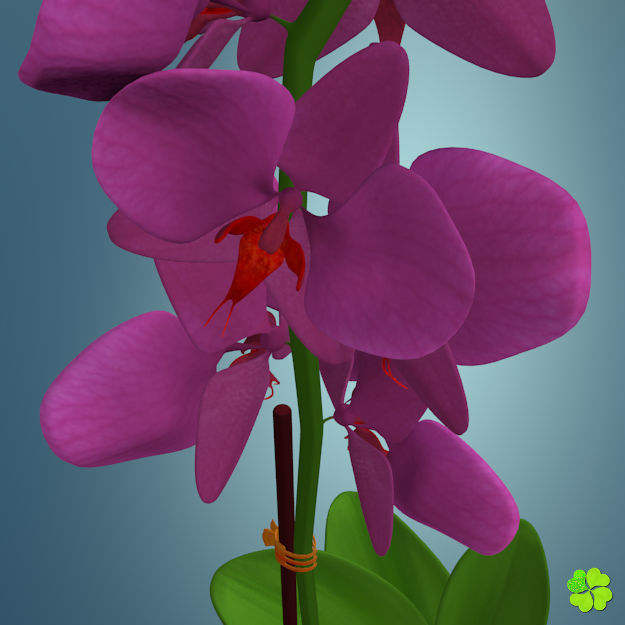 Orchid plant low poly Low-poly 3D model_2