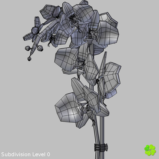 Orchid plant low poly Low-poly 3D model_32