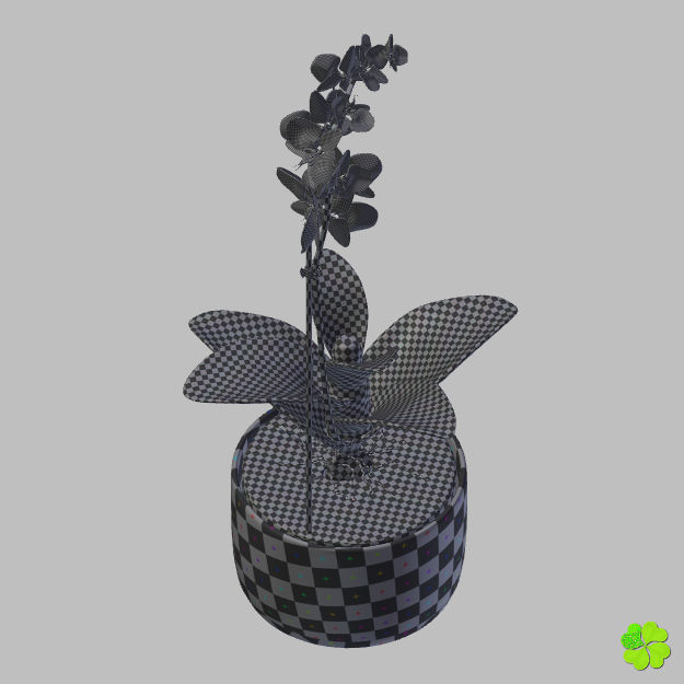 Orchid plant low poly Low-poly 3D model_34