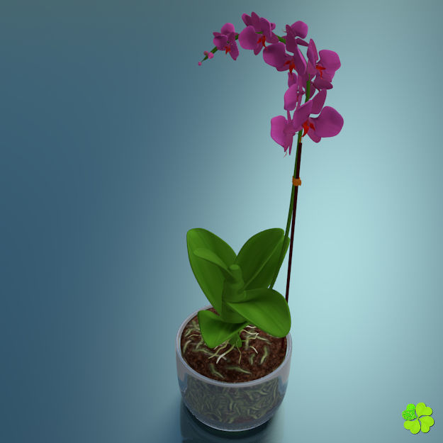 Orchid plant low poly Low-poly 3D model_3