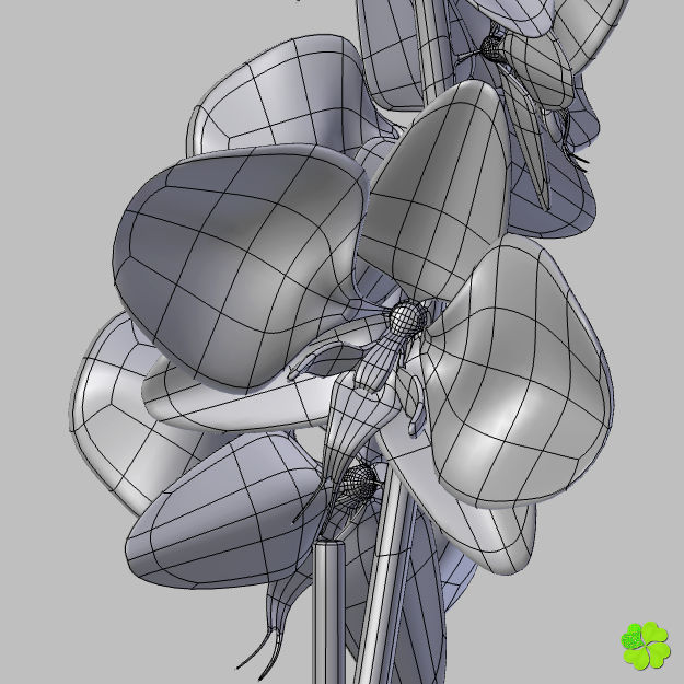 Orchid plant low poly Low-poly 3D model_19
