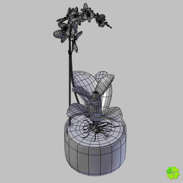 Orchid plant low poly Low-poly 3D model_29