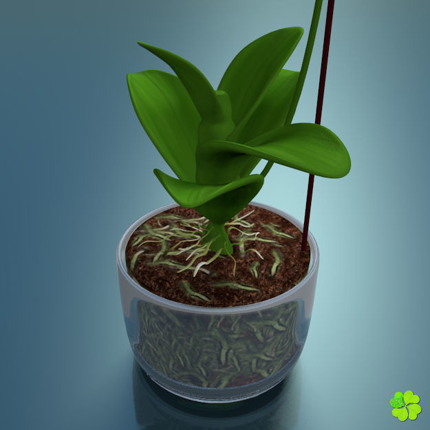 Orchid plant low poly Low-poly 3D model_6