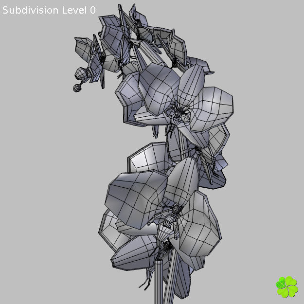 Orchid plant low poly Low-poly 3D model_18