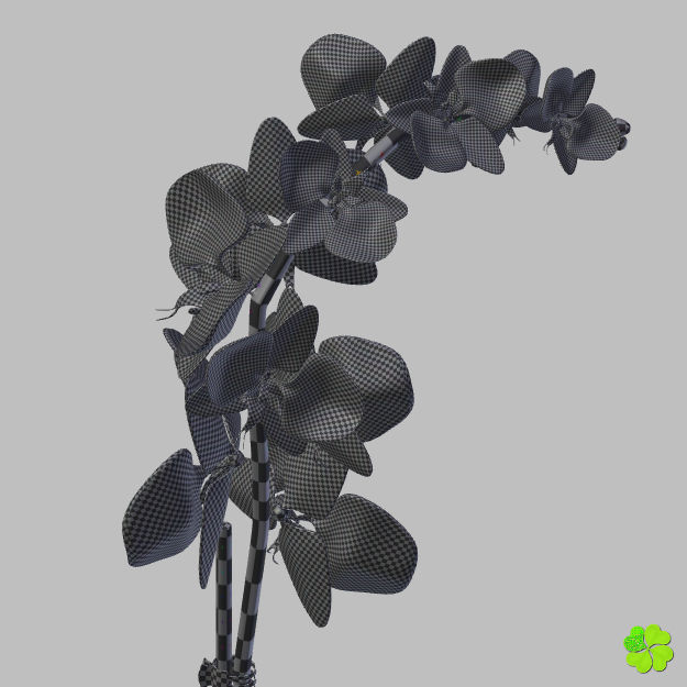 Orchid plant low poly Low-poly 3D model_36
