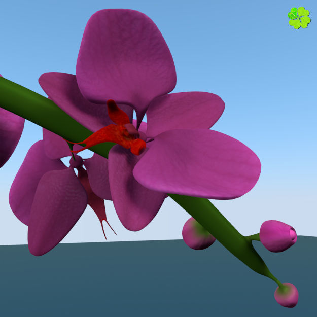 Orchid plant low poly Low-poly 3D model_14