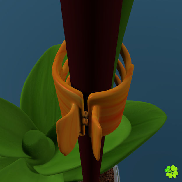 Orchid plant low poly Low-poly 3D model_11