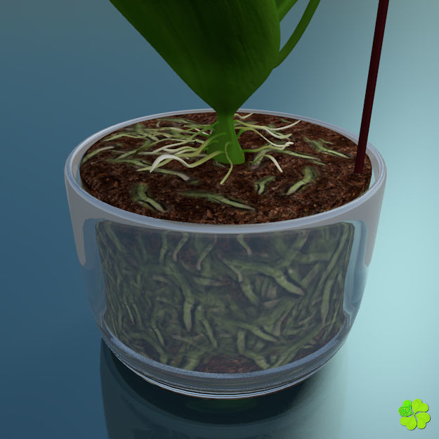 Orchid plant low poly Low-poly 3D model_7
