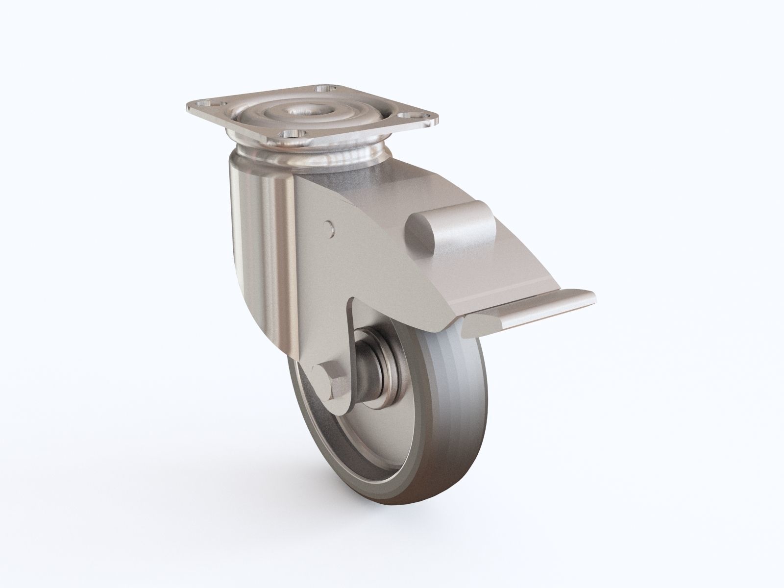 Castor vol 01 3D model_16