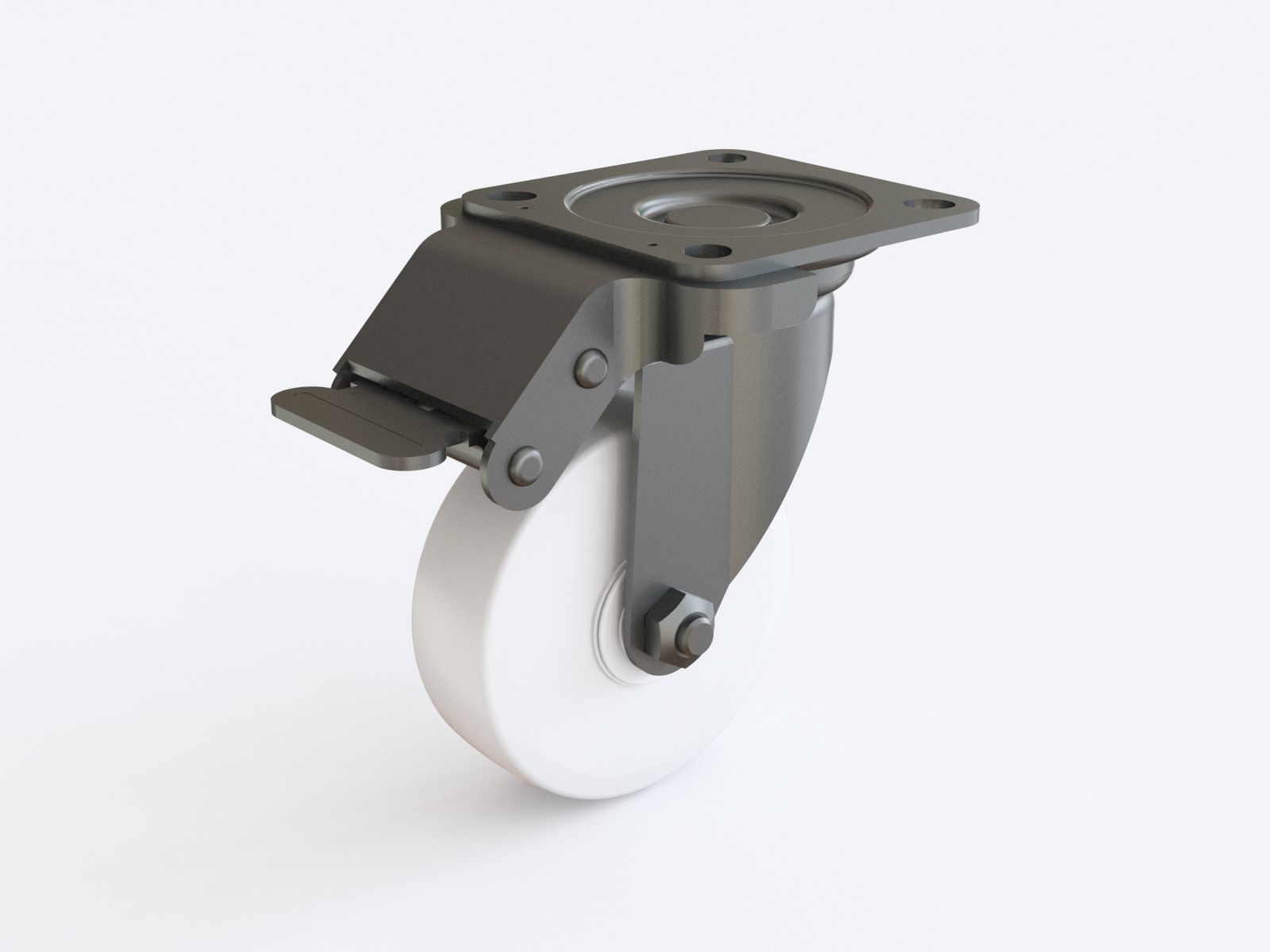 Castor vol 12 3D model_22