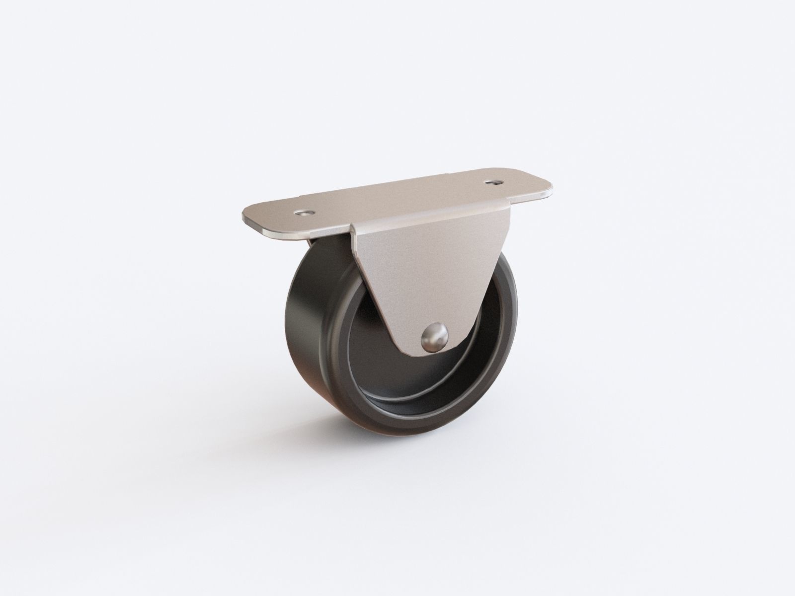 Castor vol 12 3D model_2