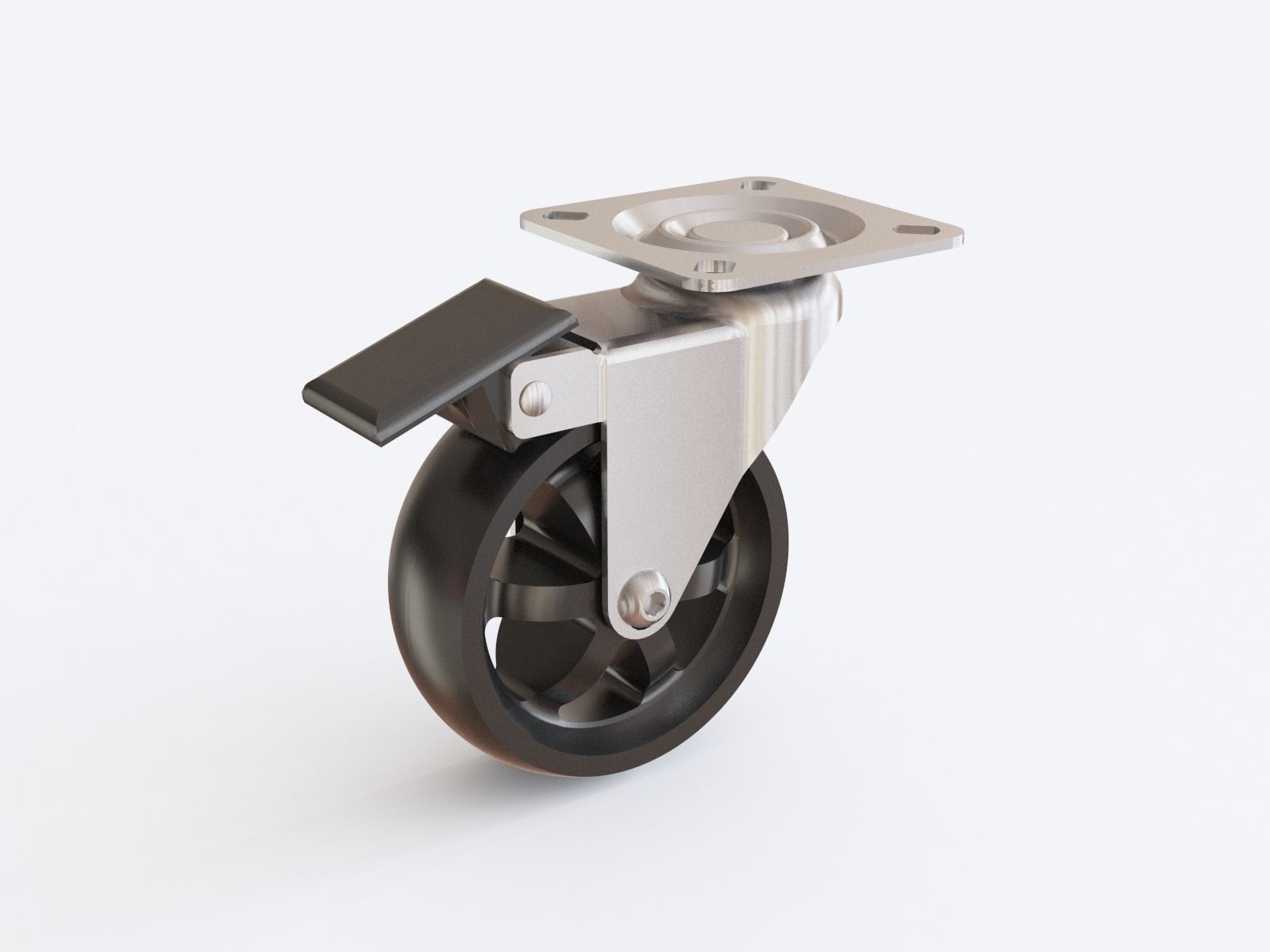 Castor vol 12 3D model_42