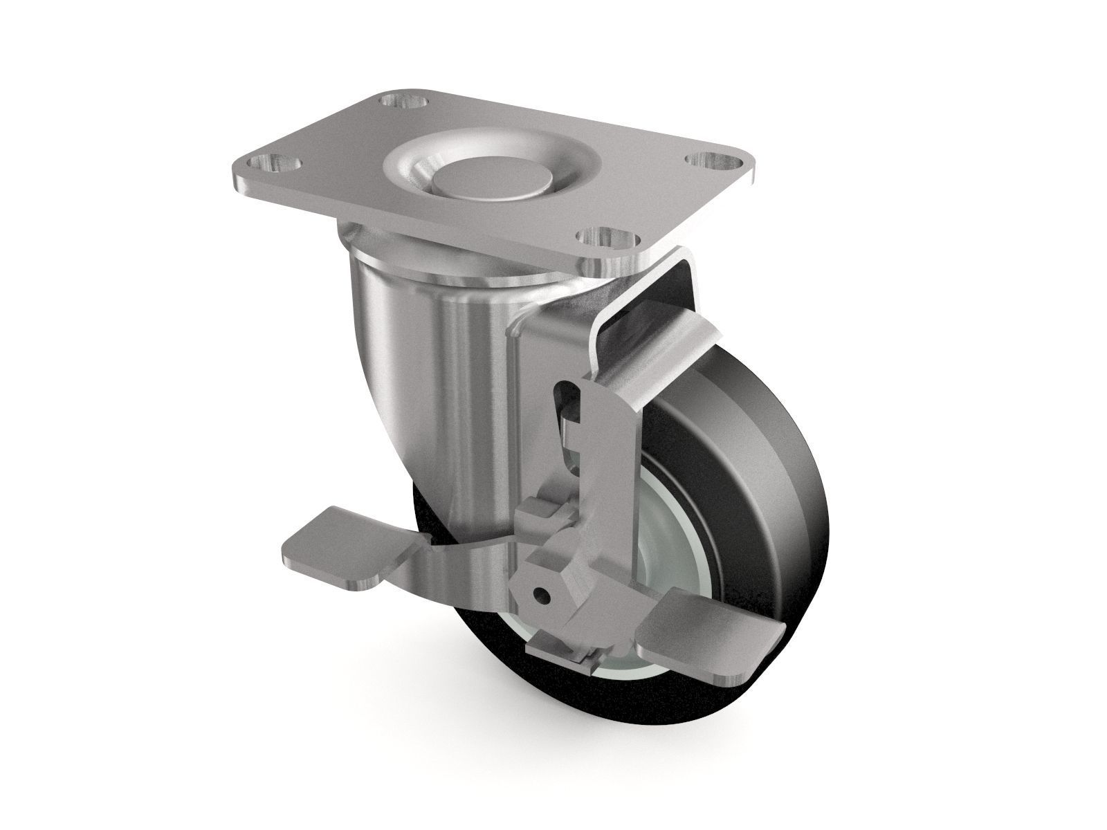 Castor vol 16 3D model_22