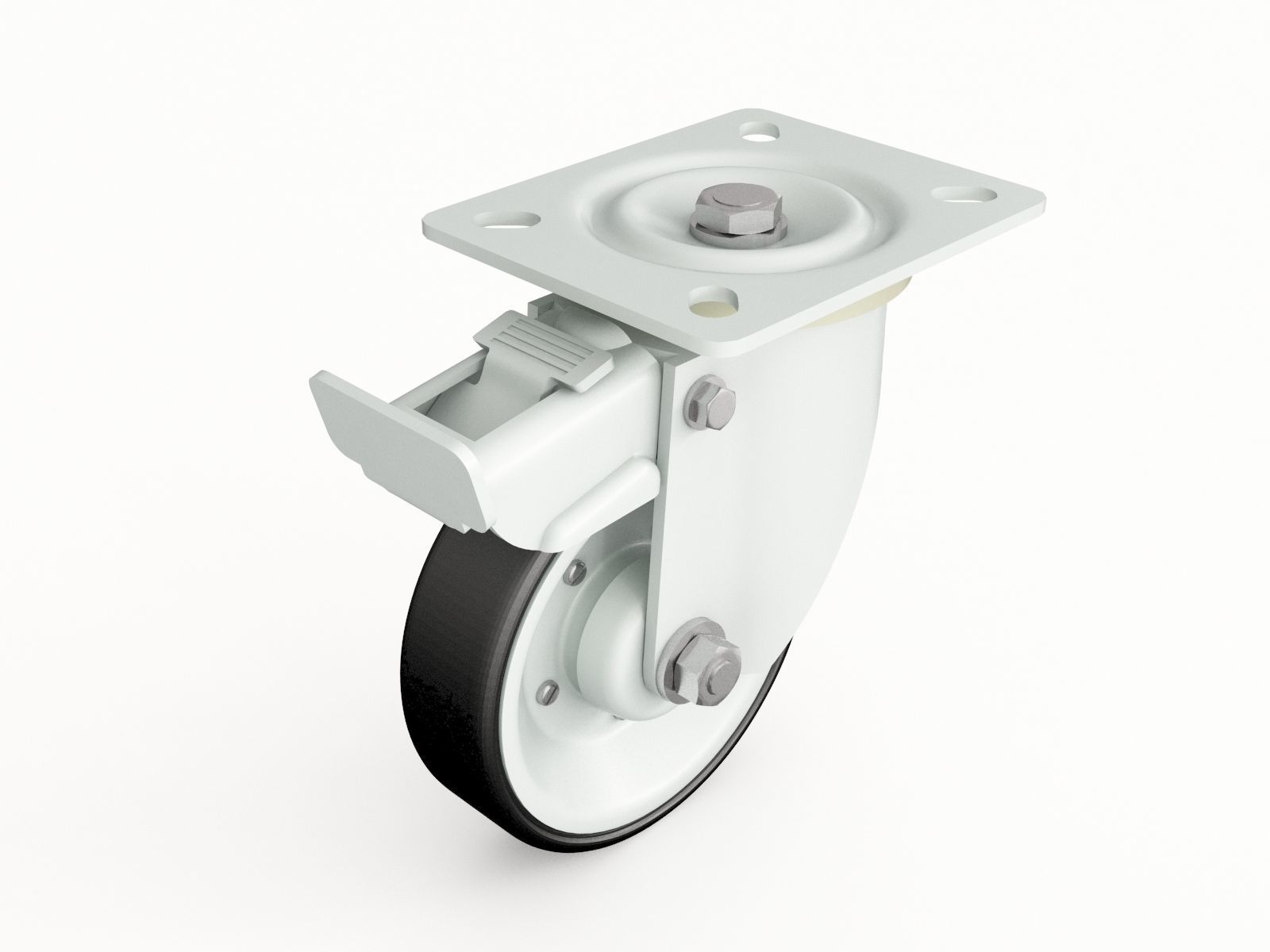 Castor vol 18 3D model_22