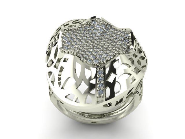  Ring R0203 3D print model_1