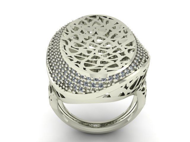 Ring R0205 3D print model_1